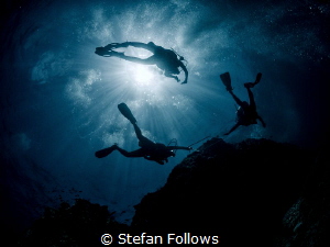 "The Dance" Matisse. Core Sea Crew conducting biodiversit... by Stefan Follows 